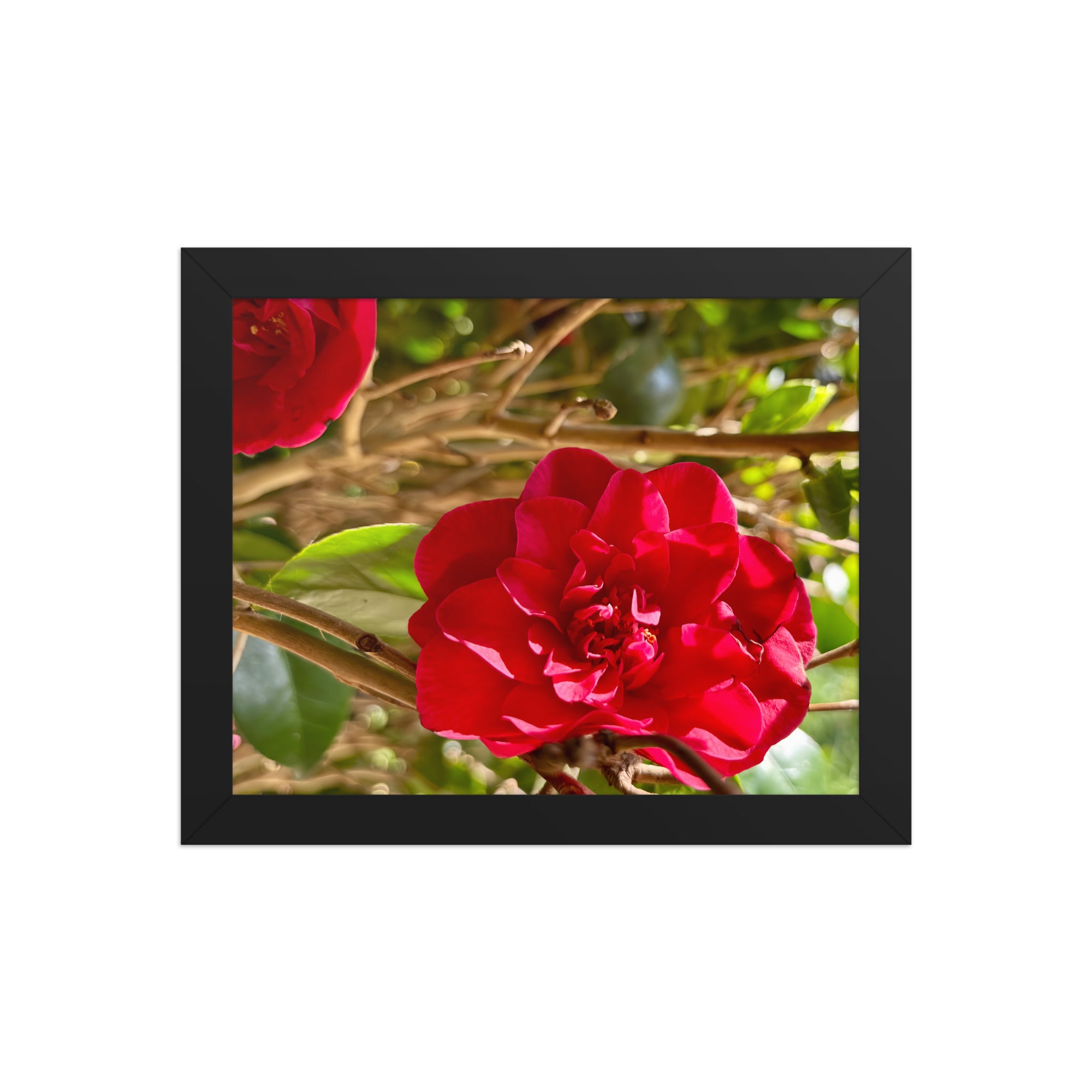 Back To Where I've Never Been Poster